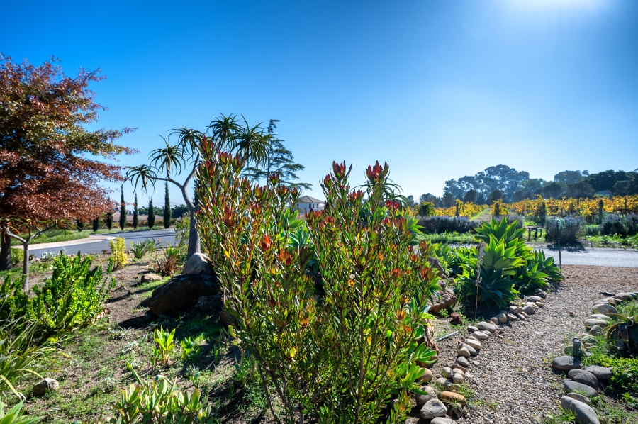 4 Bedroom Property for Sale in Klein Zevenwacht Western Cape